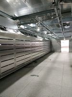 Machine de décongélation industrielle professionnelle à basse température et haute humidité, grande capacité, pour abattoirs de viande et transformation des produits de la mer