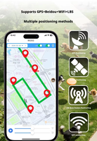 Traceur GPS Micro GSM 4G pour chiens et animaux de compagnie, appareil intelligent avec visualisation sur PC et suivi en temps réel