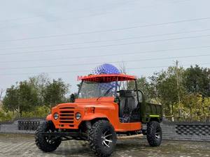 Nuevo Diseño de Mini ATV Willys de 150cc, Mini Auto a Gasolina para Adultos - Product Image 2