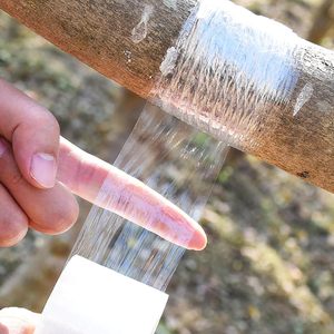 Cinta de injerto biodegradable ecológica de 200 m de longitud, membrana de injerto, cinta de sujeción para jardinería, cinta de injerto de PE, película de embalaje. - Product Image 4