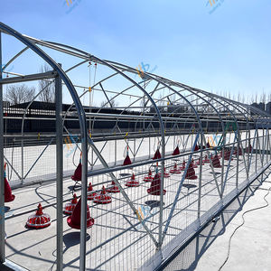 Özel kanatlı çiftlik yetiştiriciliği ekipmanları galvanizli mobil tavuk kümesi açık - Product Image 3