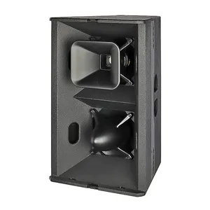 Altavoz de rango completo 12 pulgadas y larga distancia T24N Altavoz dual 12 ''sistema line array