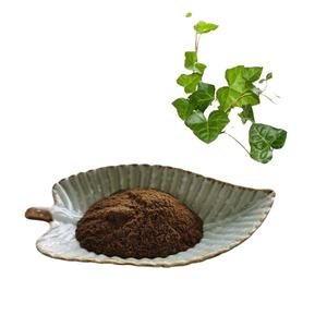 Высококачественный экстракт Herba <span class=keywords><strong>Sarcandra</strong></span> <span class=keywords><strong>glabra</strong></span> (<span class=keywords><strong>Thunb</strong></span>.) Экстракт Накай порошок 10:1 - Product Image 1