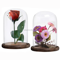 Vente en gros Cloche de roses en verre Mini dôme de roses éternelles conservées Fleur dans un dôme en verre avec lumières LED