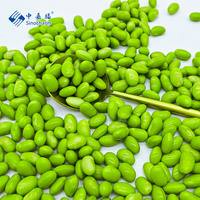Sinocharm BRC A-Grade Biologique 4 étoiles Marques OEM Emballage 500g IQF Edamame Vert Peleriné Congelé Mukimame Haricots Edamame