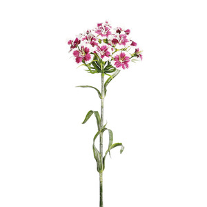 Mini fleurs artificielles de Dianthus, fausses tiges de <span class=keywords><strong>Sweet</strong></span> <span class=keywords><strong>William</strong></span>, décoration de mariage, accent de table pour la maison, arrangement floral d'intérieur - Product Image 5