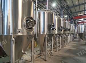 500L pequeño completo cerveza que hace la máquina para la venta - Product Image 6