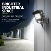 Projecteur LED extérieur étanche IP66 15W 180lm/W personnalisable pour façade, aménagement paysager et éclairage extérieur commercial de petite taille