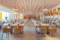 Chaise de salle à manger en bois moderne, élégante, de luxe, écologique, durable, haut de gamme, ensemble de meubles pour restaurant commercial, pour salle à manger d'hôtel