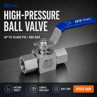 Factory Supply 316SS Bar Stock Instrument Ball Valve 10000 PSI 2 Way 3 Way Double Ferrule NPT BSP Swagelok Type OEM Oil & Gas CE