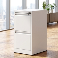 Armoire de classement mobile en métal à 2 tiroirs avec serrure à 3 points, design moderne, utilisation commerciale