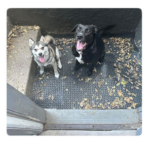 Alfombrilla de baño de secado rápido de PVC antideslizante alfombrilla de ducha de PVC entrelazada alfombrilla de empalme de bañera - Product Image 3