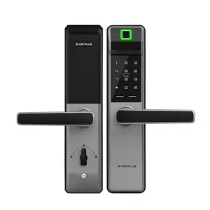 Factory Wholesale Fingerprint Password Room Door Lock Digital Smart Lock With App