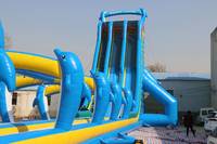 WINSUN Toboggan aquatique gonflable tropical commercial à double voie avec piscine à vendre
