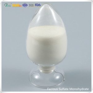 Bán số lượng lớn Ferrous Sulphate monohydrate bột thức ăn lớp cấp công nghiệp - Product Image 5