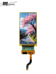 หน้าจอ AMOLED ขนาด 6 นิ้ว ความละเอียด 1440*2880 แบบยืดหยุ่น พร้อมอินเทอร์เฟซ MIPI สำหรับอุปกรณ์ AR/VR 34 พิน ระบบสัมผัส Oncell พร้อมบอร์ดควบคุม หน้าจอ AMOLED ขนาด 6 นิ้ว 6I - Product Image 1