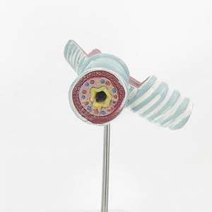 Modelo de enseñanza médica-Modelo de Anatomía de la sección sagital faríngea oral nasal para educación y entrenamiento médico - Product Image 2