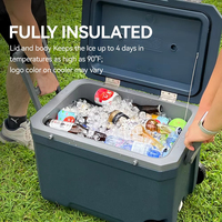 Glacière portable moderne de 45 L avec roues, nouveau design, glacière rectangulaire pour le camping, pour le stockage de la bière, des aliments et des fruits