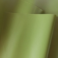 Tissu en nylon 40D imperméable personnalisé, double face, enduit TPU, vert olive, matériau hermétique pour produits gonflables