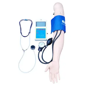 نموذج ذراع للتدريب على قياس ضغط الدم المتقدم للعلم الطبي