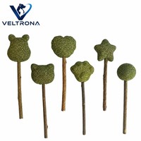 Bâtonnets de friandises à la catnip, 6 formes assorties, jouets à mâcher aux herbes, herbe verte compressée, bâtonnets en bois naturel