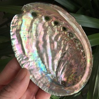 Grand bol artisanal en coquille d'ormeau naturelle pour brûler le sauge, décoration d'intérieur et ornement