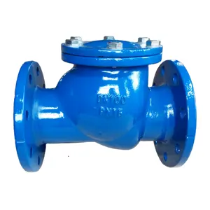 2024 DIN BS EN PN16 GGG40 Ductile Iron swing flange check valve for sewage water