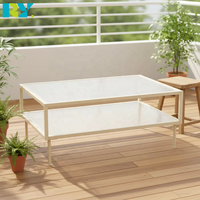 Meubles de salon modernes, design en métal respectueux de l'environnement, table basse, table centrale, décoration pour la maison