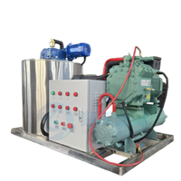 Máquina de Hielo en Escamas de Agua de Mar de 1 Tonelada Haiyue Industrial con Evaporador de Acero Inoxidable SS 304L/316L y Compresor Emerson, Certificación CE e ISO9001