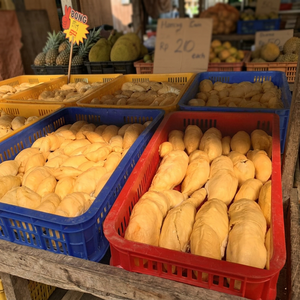 VENTA CALIENTE DURIAN CONGELADO DE VIETNAM | FRUTAS TROPICALES DURIAN CONGELADO DE VIETNAM - Product Image 3
