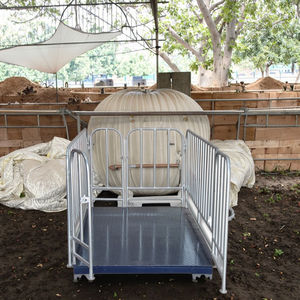 Usine directe haute précision bétail plate-forme de pesage échelle Cage clôture sûre pièces indicateur personnalisable 1.5*1.5m - Product Image 2