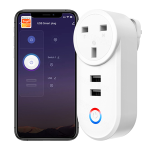 Reino Unido enchufe 16A adaptador de salida ABS USB enchufe voz Smart Life App Control Google Home Yandex Alice Tuya Wifi inteligente eléctrico - Product Image 1