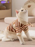Gilet en polaire doux à rayures pour chat, collection automne-hiver, en polyester, anti-chute de poils, confortable pour la maison, vêtements personnalisés pour animaux de compagnie