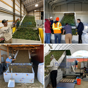 Máquina Secadora de Frutas Confitadas de Malla Continua de 12m y 6 Capas, Secadora de Cintas de Malla para Caulis y Spatholobi - Product Image 2