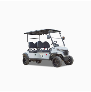 Carrito de Golf Eléctrico Winner-Gc 2s con Velocidad de 24 km/h y Capacidad de Carga de 300 kg para Transporte Marítimo - Product Image 1