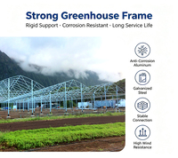 Kit de serre agricole en acier multi-travées avec couverture en film PandaGreenhouse |   Structure d'agriculture de grande envergure pour la culture de légumes et de fruits rouges à haut rendement