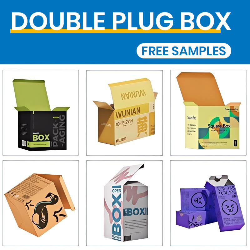 BOÎTE DOUBLE PLUG