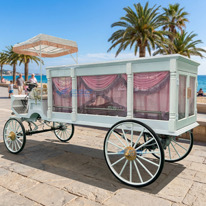 Popular Coche Fúnebre Eléctrico Blanco para Transporte Especial, Carroza Fúnebre Personalizada sin Caballos - Product Image 1