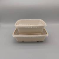 Contenant alimentaire en film laminé de bagasse avec couvercle transparent en PET, boîte à emporter jetable en canne à sucre, résistante à l'huile, fournitures en gros