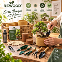 Vente en gros de 40 kits de culture de bonsaï avec outils, pots, graines, panier, étiquette privée OEM