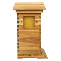 Nouvelle petite ruche intelligente automatique à 4 cadres pour abeilles, avec 2 boîtes en bois de sapin pour la récolte automatique du miel