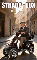 Moped électrique 2026 en stock UE, moteur brushless 1000W, 60V 20Ah, autonomie 46km, vitesse max 25km/h, 1 place