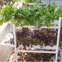 Système hydroponique d'intérieur pour jardin domestique, tour de culture verticale à 3 niveaux, kit de culture de micro-légumes avec canal NFT, en PVC écologique auto-aspirant