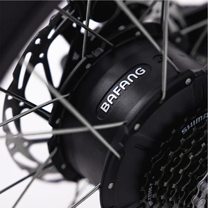 <span class=keywords><strong>Vélo</strong></span> <span class=keywords><strong>électrique</strong></span> <span class=keywords><strong>tout</strong></span>-<span class=keywords><strong>terrain</strong></span> à pneus larges de 20 pouces 1000 W, directement de l'usine, OEM UL pour femmes - Product Image 3