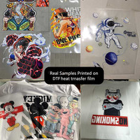 Film de transfert numérique format A3 pour T-shirts, rouleau de film PET DTF en gros, transfert thermique couleurs vives, transfert facile sur textiles