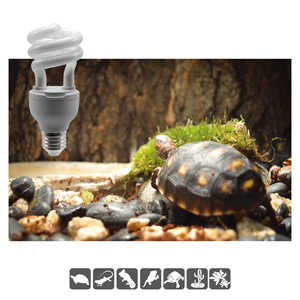 <span class=keywords><strong>Lampe</strong></span> fluorescente spirale UVA UVB 13W 26W <span class=keywords><strong>pour</strong></span> <span class=keywords><strong>terrarium</strong></span> de reptiles, E26 E27, <span class=keywords><strong>pour</strong></span> reptiles de jungle et de désert, boîte d'élevage de dragons barbus - Product Image 5