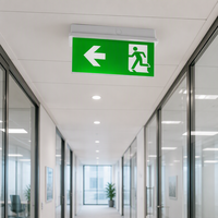 Lumière de signalisation d'urgence LED 2W IP65 étanche avec batterie rechargeable et autonomie de 3 heures en matériau PC pour usage intérieur et extérieur