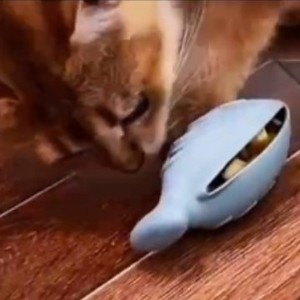 Silicone Fish Cat Toy Fish <b>Bites</b> Chew Toy For Cats Interactive Pet Toy Light Blue 38g - Product Image 1