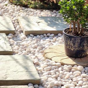 Ciottoli Naturali Lucidati di Alta Qualità per Giardinaggio, Pavimentazione Stradale, Esterni, Interni, Ecologici - Product Image 4