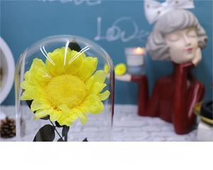 Dôme en verre avec tournesol préservé et base noire, fleur éternelle à tige entière, cadeau pour anniversaire, remise de diplôme, nouvelle maison - Product Image 4